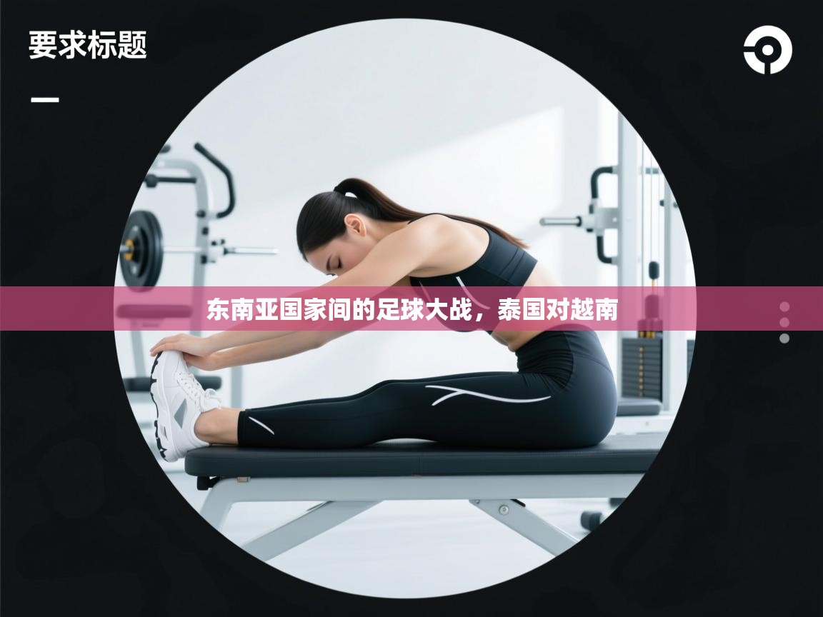 东南亚国家间的足球大战，泰国对越南  第1张