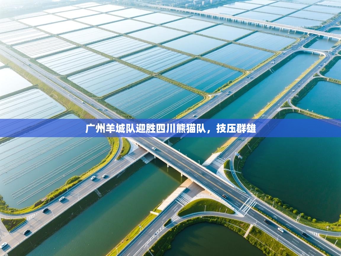 广州羊城队迎胜四川熊猫队，技压群雄  第1张