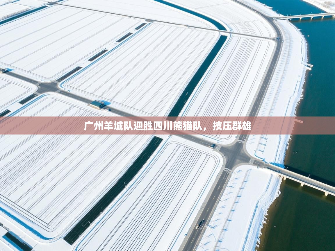 广州羊城队迎胜四川熊猫队，技压群雄  第2张