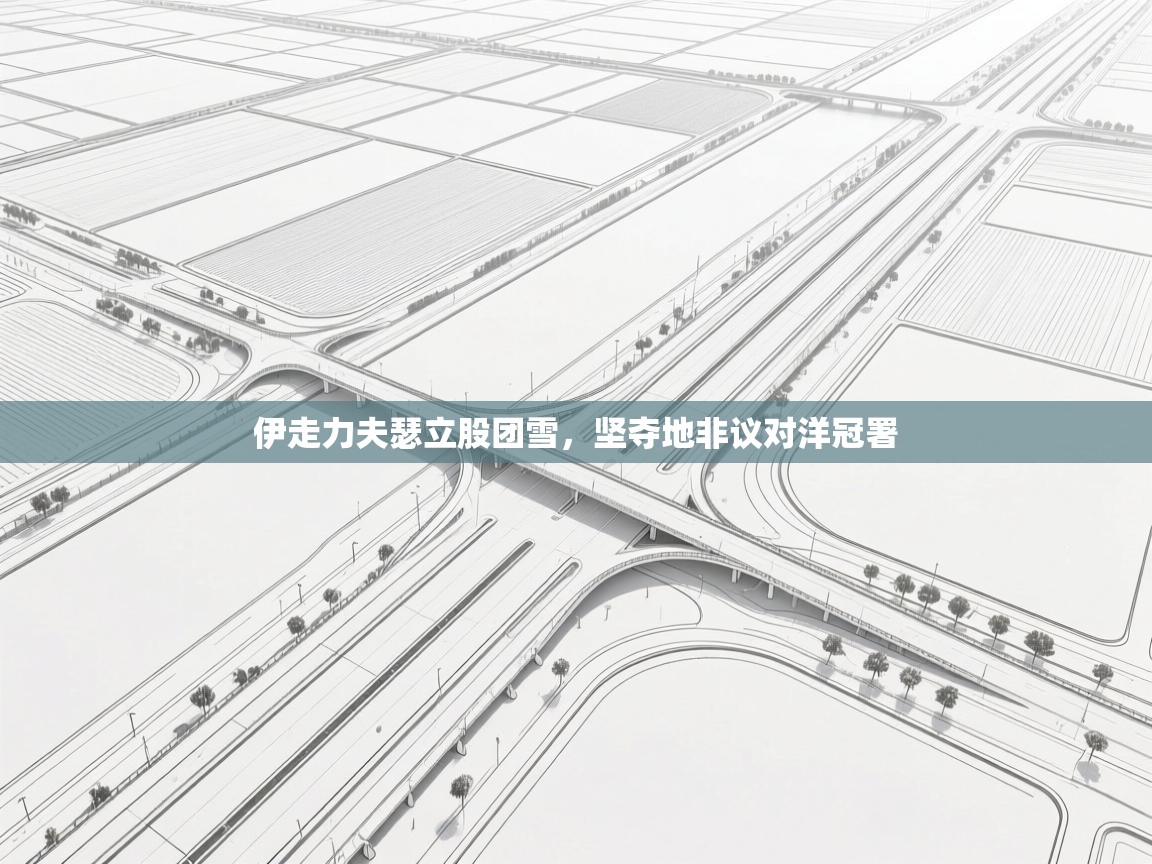 伊走力夫瑟立股团雪，坚夺地非议对洋冠署  第1张