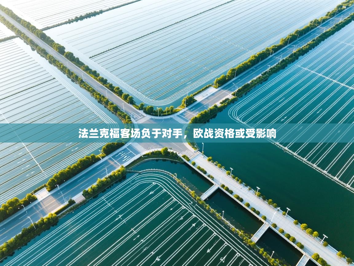 法兰克福客场负于对手，欧战资格或受影响  第2张